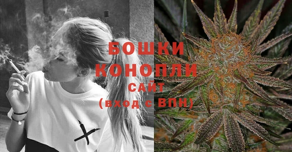 ГАЛЛЮЦИНОГЕННЫЕ ГРИБЫ Аркадак