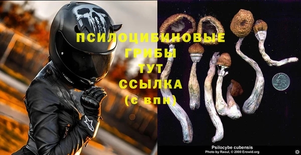 ГАЛЛЮЦИНОГЕННЫЕ ГРИБЫ Аркадак
