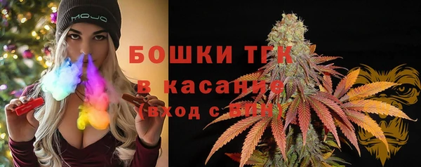 ГАЛЛЮЦИНОГЕННЫЕ ГРИБЫ Аркадак